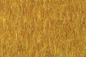 Ковровая плитка Desso Lita Desso Lita 6108 фото  | FLOORDEALER