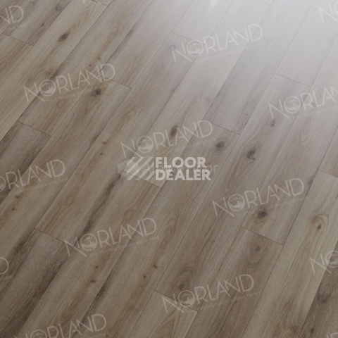 Norland Sigrid  LVT 2мм Signi 1003-15 фото 2 | FLOORDEALER