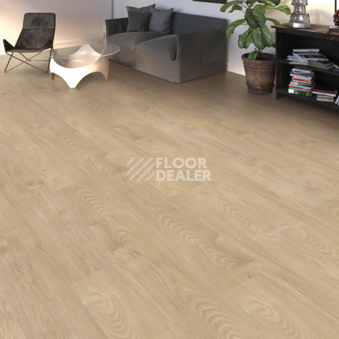 Haro Tritty 100 Gran Via 4V Клен Серебрянный Варио 544741 фото 2 | FLOORDEALER