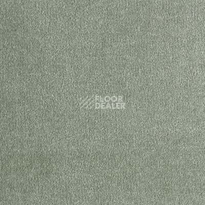 Ковролин AW Obsession 28 фото 1 | FLOORDEALER