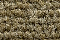 Art Intervention Коллекция Creative Spark Creative Spark 627 фото 5 | FLOORDEALER