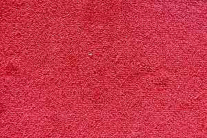 Ковролин Дюна Тафт Плеяда 550 932 фото  | FLOORDEALER