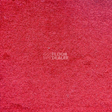 Ковролин Дюна Тафт Плеяда 550 932 фото 1 | FLOORDEALER