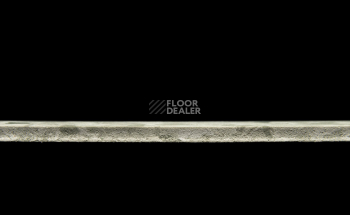 Tarkett Primo Plus 311 фото 3 | FLOORDEALER