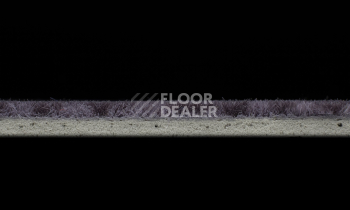 Forbo Flotex Colour Metro 5050 t 546016 Metro Grape фото 4 | FLOORDEALER