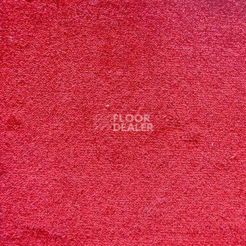 Ковролин Дюна Тафт Плеяда 550 932 фото 1 | FLOORDEALER