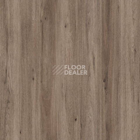 Пробковое покрытие Wood Resist Eco FDYM001   Quartz Oak фото 1 | FLOORDEALER
