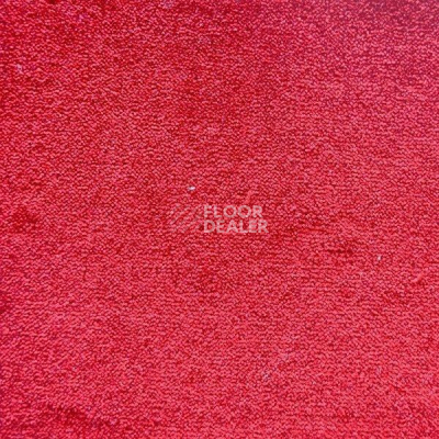 Ковролин Дюна Тафт Плеяда 550 932 фото 1 | FLOORDEALER