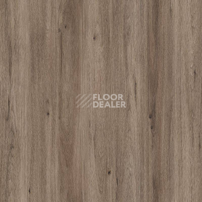 Пробковое покрытие Wood Resist Eco FDYM001   Quartz Oak фото 1 | FLOORDEALER