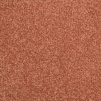 Ковровая плитка Modulyss Cambridge 303 фото 1 | FLOORDEALER