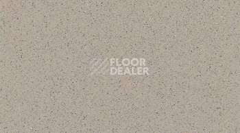 Линолеум Gerflor Tarasafe Plus 7386_Savana фото 1 | FLOORDEALER