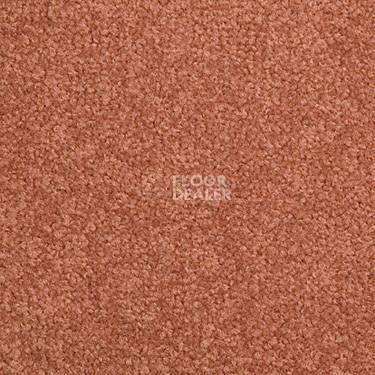 Ковровая плитка Modulyss Cambridge 303 фото 1 | FLOORDEALER