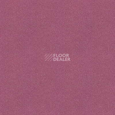Ковровая плитка Tessera basis pro 4210 Cerise фото 1 | FLOORDEALER