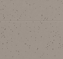 Forbo Sphera Energetic 50224 fossil фото 2 | FLOORDEALER