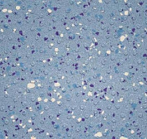 Линолеум Tarasafe Ultra H2O 7413_Ocean_Blue фото 1 | FLOORDEALER