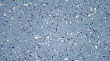 Линолеум Tarasafe Ultra H2O 7413_Ocean_Blue фото 1 | FLOORDEALER