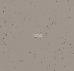 Forbo Sphera Energetic 50224 fossil фото 2 | FLOORDEALER