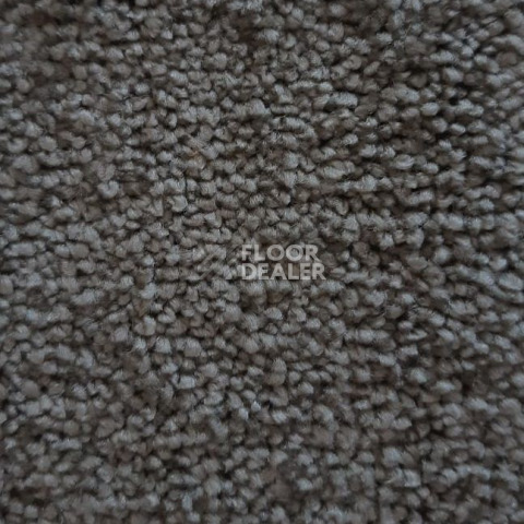 Ковролин Condor Carpets Dynasty 73 фото 1 | FLOORDEALER