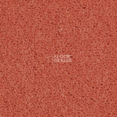 Ковролин Balsan Majestic 536 фото 1 | FLOORDEALER