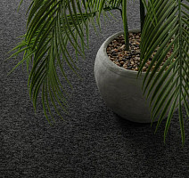 Haima Classic 71 фото 10 | FLOORDEALER