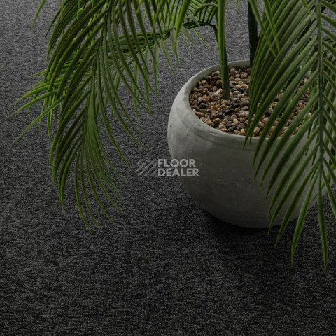 Haima Classic 71 фото 10 | FLOORDEALER