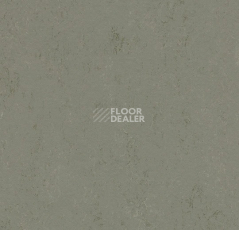 Линолеум Forbo Marmoleum Solid Concrete 3755 glacier фото 1 | FLOORDEALER