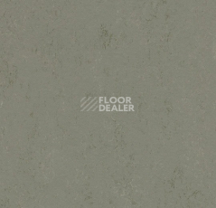 Линолеум Forbo Marmoleum Solid Concrete 3755 glacier фото 1 | FLOORDEALER