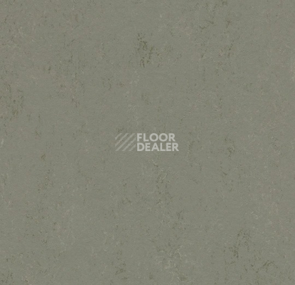 Линолеум Forbo Marmoleum Solid Concrete 3755 glacier фото 1 | FLOORDEALER