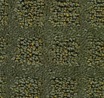 Ковролин Balta Cavalli 440 фото 1 | FLOORDEALER