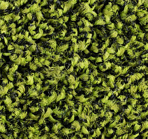 Forbo Coral Bright 2608 Fresh Grass фото 4 | FLOORDEALER