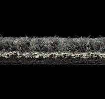 Balsan Trust 710 фото 4 | FLOORDEALER