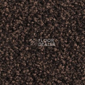 Ковролин Balsan Les Must Les Must 790 фото 1 | FLOORDEALER