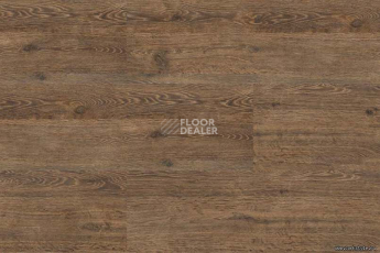 Corkstyle Wood OAK BRUSHED фото 3 | FLOORDEALER