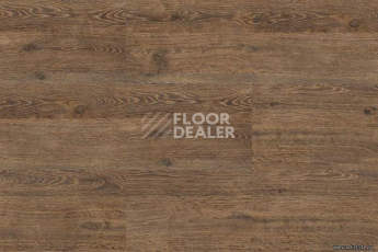Wood OAK BRUSHED фото 3 | FLOORDEALER
