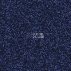 Ковролин Balsan Serenite 190 фото 1 | FLOORDEALER