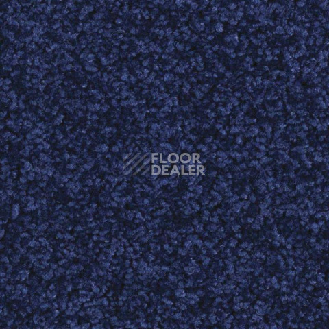 Ковролин Balsan Serenite 190 фото 1 | FLOORDEALER