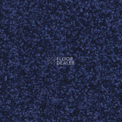 Ковролин Balsan Serenite 190 фото 1 | FLOORDEALER