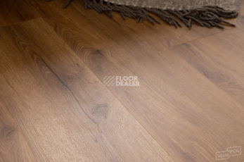 Vinilpol Click 5мм 8833-EIR Дуб Сан-Ремо фото 9 | FLOORDEALER
