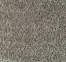 Ковролин Balta Euphoria 650 фото 1 | FLOORDEALER