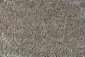 Ковролин Balta Euphoria 650 фото  | FLOORDEALER