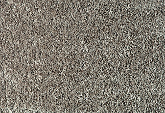 Ковролин Balta Euphoria 650 фото 1 | FLOORDEALER