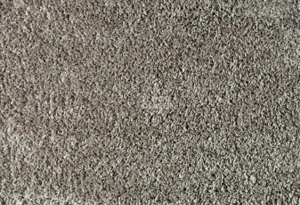 Ковролин Balta Euphoria 650 фото 1 | FLOORDEALER