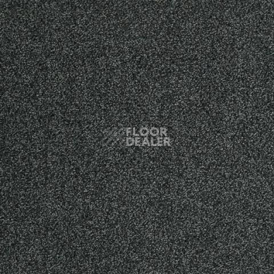 Ковролин ITC Evolve Evolve 99 фото 1 | FLOORDEALER