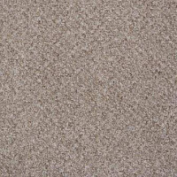 Ковролин Big Rocca 333 фото 1 | FLOORDEALER