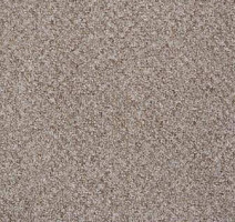 Ковролин Big Rocca 333 фото 1 | FLOORDEALER