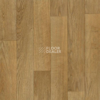 Линолеум Tarkett Acczent Timber TRINIDAD 1 фото 1 | FLOORDEALER