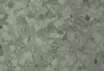 Tarkett Primo Plus 311 фото 2 | FLOORDEALER