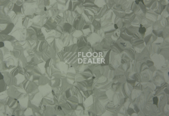 Tarkett Primo Plus 311 фото 2 | FLOORDEALER