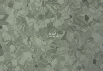 Tarkett Primo Plus 311 фото 2 | FLOORDEALER