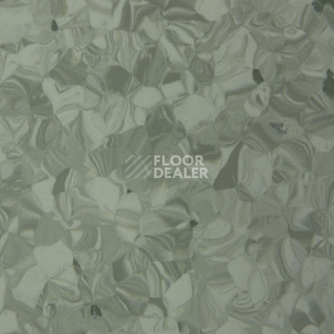 Tarkett Primo Plus 311 фото 2 | FLOORDEALER
